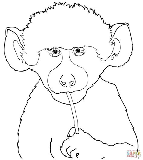 American dragon jake long and four friends coloring page. Cute Baby Baboon coloring page | Free Printable Coloring Pages