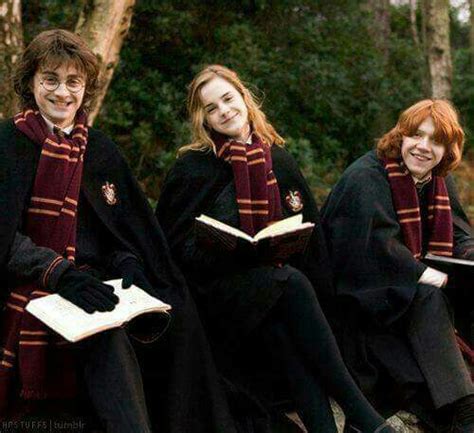 Harry potter (daniel radcliffe) e seus amigos, ron weasley (rupert grint) e hermione granger (emma watson). Assistir Filme Online Harry Potter E O Calice De Fogo ...