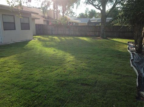 We did not find results for: EMPIRE Zoysia - #orlando #sod #grass #turf | Turf, Empire, Orlando