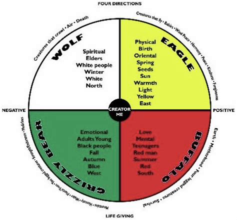 The Medicine Wheel Primal Fusion Health The Medicine Wheel