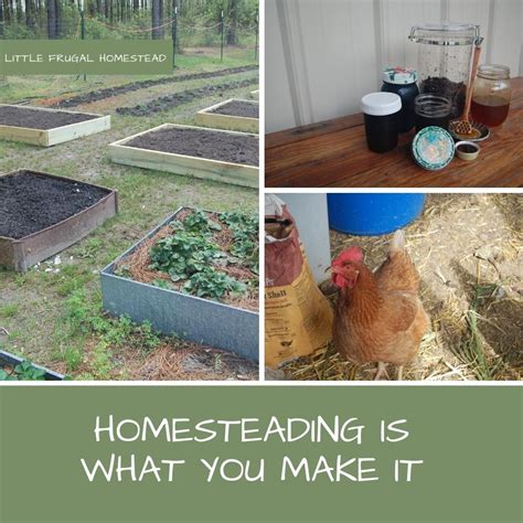 Homesteading Is What You Make It Little Frugal Homestead