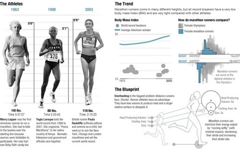 The Physics Of Olympic Bodies Infographic Olympic Sports Olympic