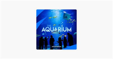 ‎the Aquarium Season 1 On Itunes