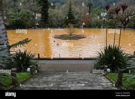 furnas azores february 2020 natural hot spring at terra nostra garden where people swim in