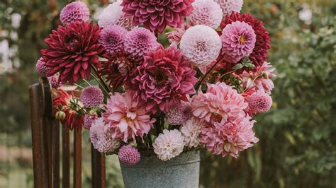 Download Wallpaper 2048x1152 Flowers Bouquet Pink Composition Pot