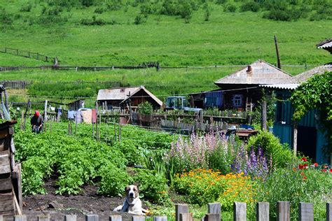 Update From The Field Life In A Siberian Village Russian Studies