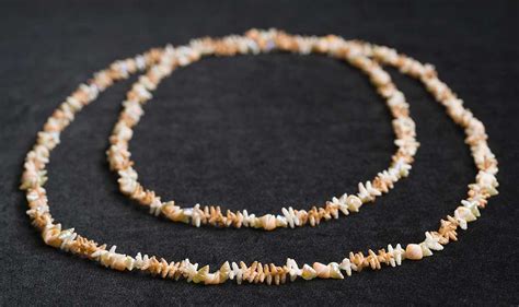Tasmanian Aboriginal Shell Necklaces National Museum Of Australia