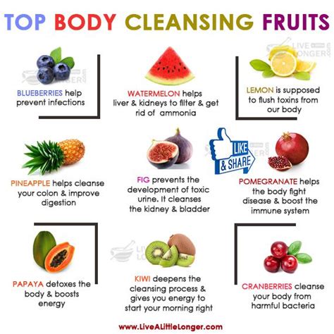 Top Body Cleansing Fruits Health Nature For More