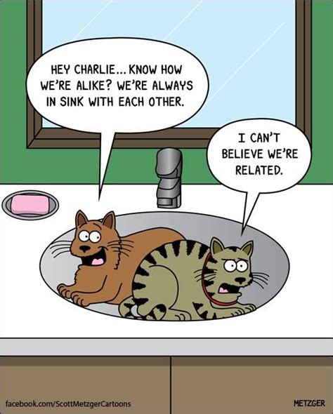 26 Adorably Funny Cat Cartoons That Will Get You Through The Day Cat Jokes Funny Cats Funny