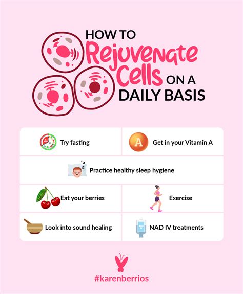 What To Do For Daily Cell Rejuvenation Karen Berrios