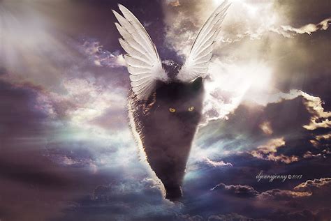 Heaven Looks Like This By Ibjennyjenny Redbubble