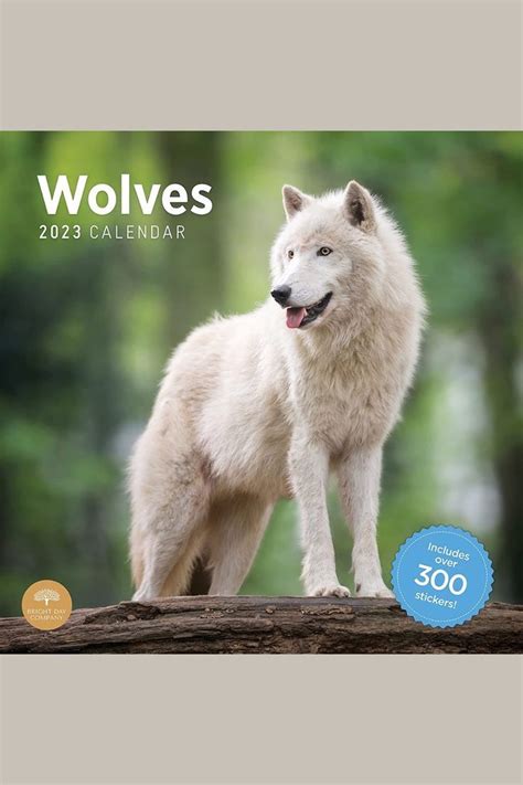 2023 Wolves Monthly Sticker Wall Calendar By Bright Day 12 X 12 Inch