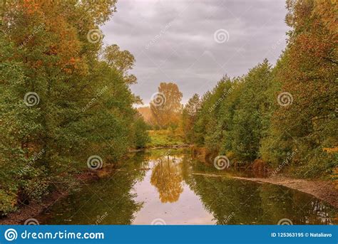 Colorful Autumn Landscape Of River And Bright Trees And Bushes Stock