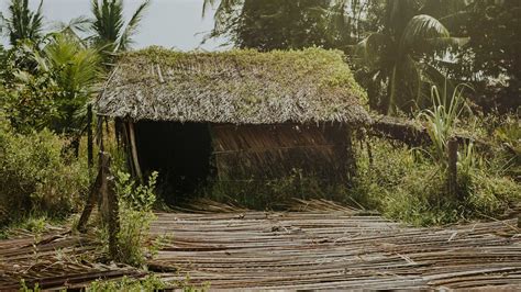 This Thatched Hut Freedom In Dispassion Kenziedigital