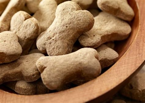 What are the Benefits of All-Natural Fresh Dog Treats? - The Washington