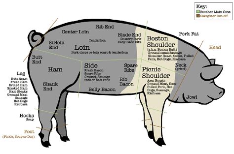Cuts Of Pork Northeast Pork Association