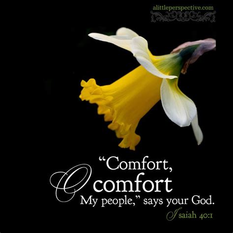 A Yellow Flower With The Words Comfort Comfort And My People Says Your God