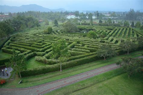 Dani bustanil arifin di tahun 1992, pada saat itu b. sharing: Taman Bunga Nusantara - Cipanas - Jawa Barat