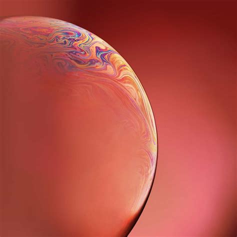Grab All 12 Bubbly Iphone Xr Wallpapers Right Here Cult Of Mac