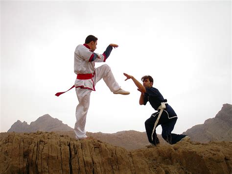 Do Kung Fu Capoeira Onde Praticar Artes Marciais Diferentes Em