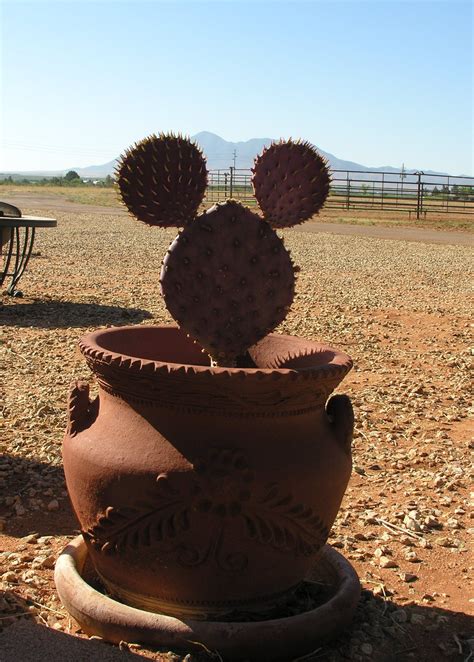 Mickey Mouse Cactus Mickey Mouse Toys Disney Decor Mickey Mouse