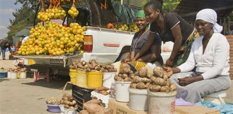 Insights Into Commercial Contracting From South Africas Informal Sector