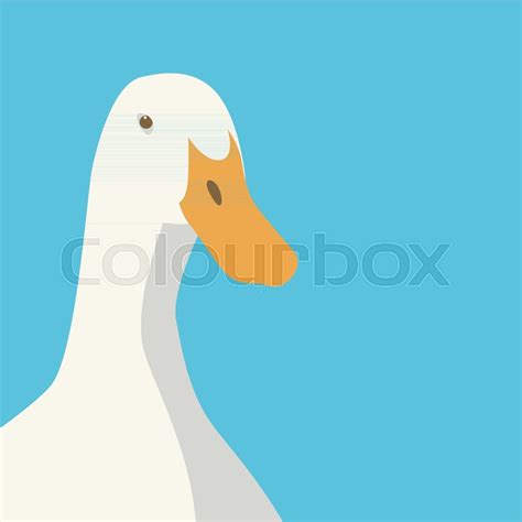Duck Head Face Vector Illustration Stock Vector Colourbox