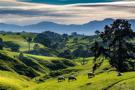 Planning A New Zealand North Island Itinerary Travel Nation
