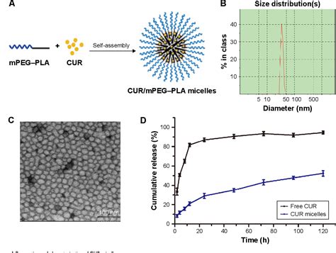 Figure 1 From Delivery Of Curcumin By Directed Self Assembled Micelles