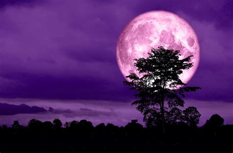 A Super Pink Moon Is Lighting Up The Skies This Week Heres When You Can See It