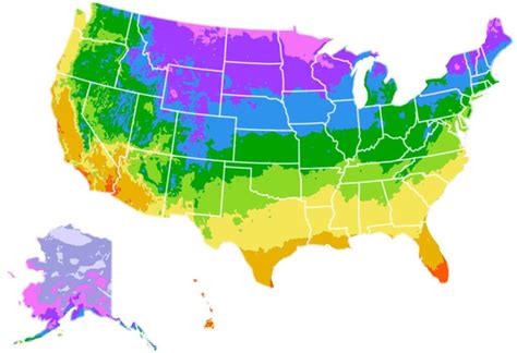How To Find And Understand Your Plant Hardiness Zone Artofit