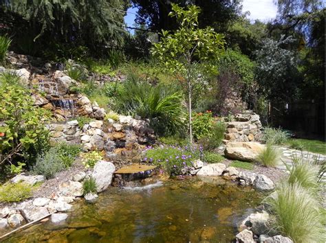 We used contrasting colors and textures of plant material to create a curb appeal for this spec home. A beautiful drought tolerant ranch landscape | Pond water ...