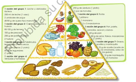 Carta Infografica Ilustracion De Una Piramide Alimenticia Para La Images