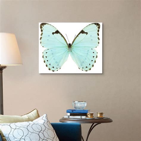 Close Up Of A White Butterfly Wall Art Canvas Prints Framed Prints