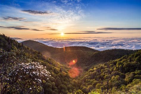 Nantahala National Forest North Carolina The 19 Best Places To Catch