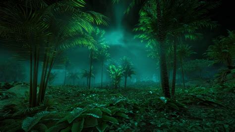 Rainy Jungle Night ~ Relaxing Harp Music With Nature