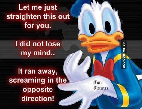 Donald Duck Quotes Funny Quotesgram