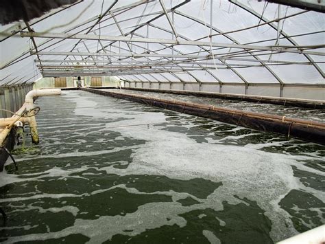 Freshwater Aquaculture Technology Us Soy