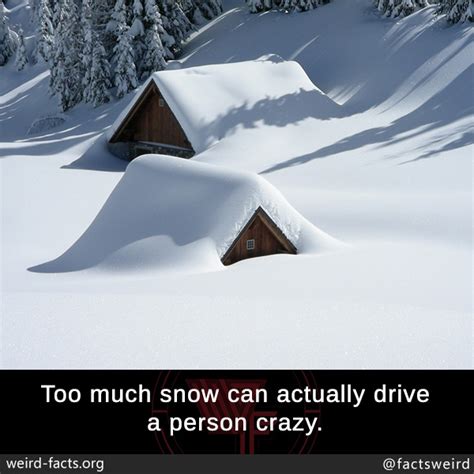 Weird Facts Too Much Snow Can Actually Drive A Person Crazy