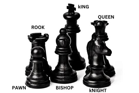 What Are The 16 Pieces In Chess Called Maroon Chess