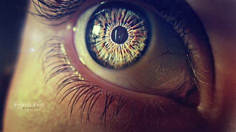 Hd Wallpaper Eye Pupil Eyelashes Human Eye Eyesight Sensory