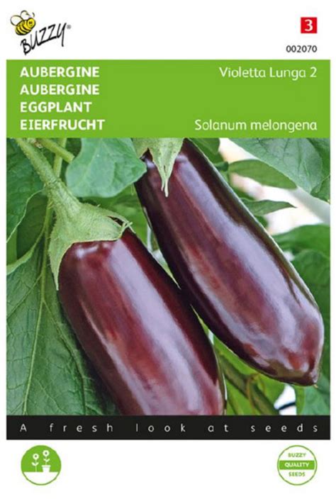 Early Long Purple Eggplant Seeds Aubergine Seeds • Tuinzadeneu