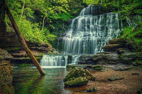 Cascading Forest Waterfall By Aaron Fuhrman