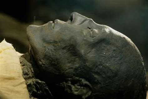 Mummy Of Seti I Father Of Ramses Ii From Egypts Valley Of The Kings
