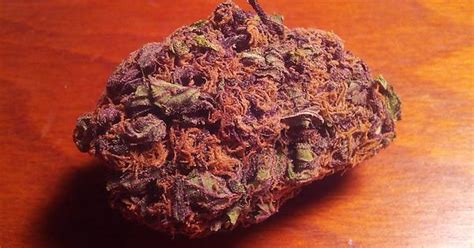 Purple Nepal Imgur