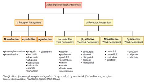 Classification Grepmed Adrenergic Receptors Free Opening Study