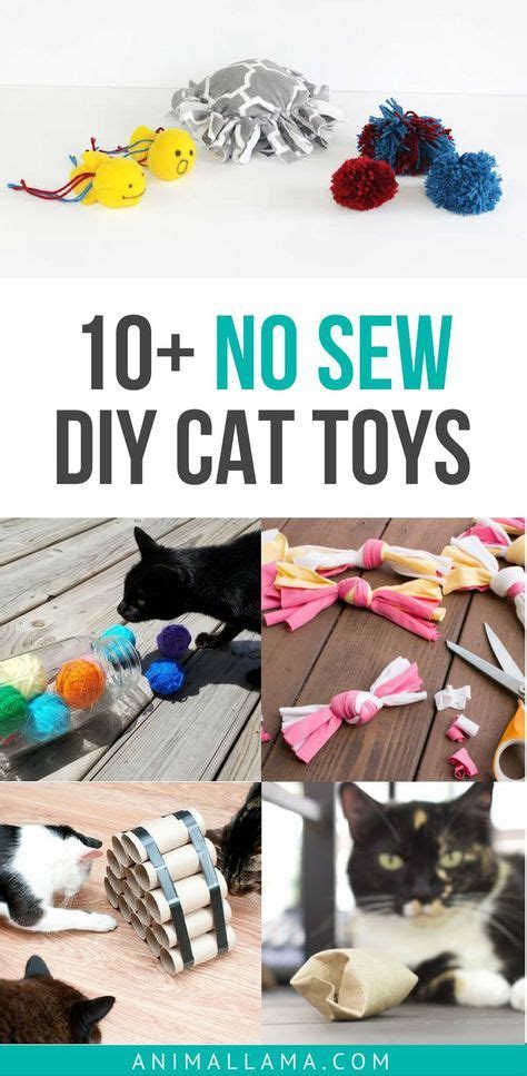 You can though make a kibble using pumpkin or mashed sweet potatoes mixed with raw meat and dehydrate at no more than 117 degrees. 10+ Easy DIY Cat Toys: Make Cat Toys Out of Household ...