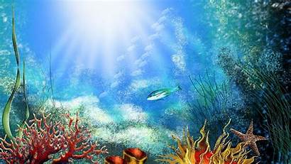 Seabed Wallpapers Coral Fish Reef дно Underwater