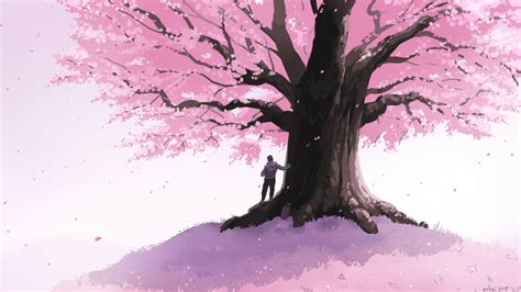 Anime Simple Cherry Blossom Tree Drawing Simple Cherry Blossom