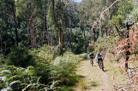 Exploring The Falls Creek Backcountry Australian Mountain Bike The